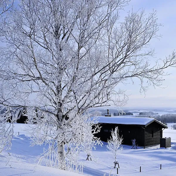 Villa Skavla