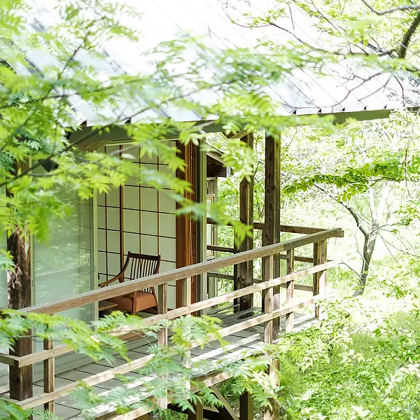 温泉山荘 だいこんの花